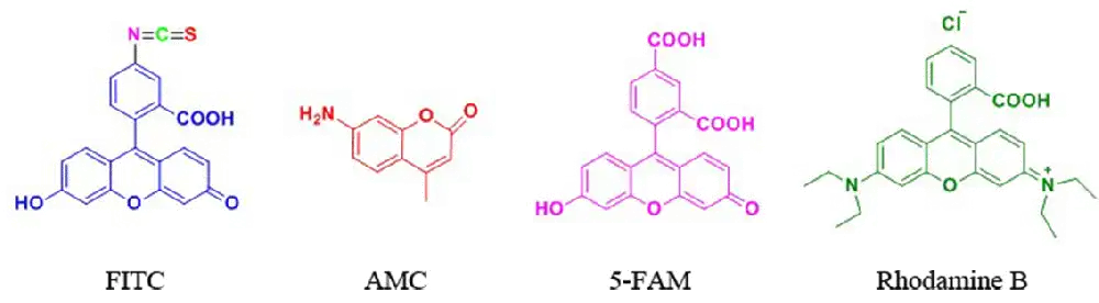 Peptide