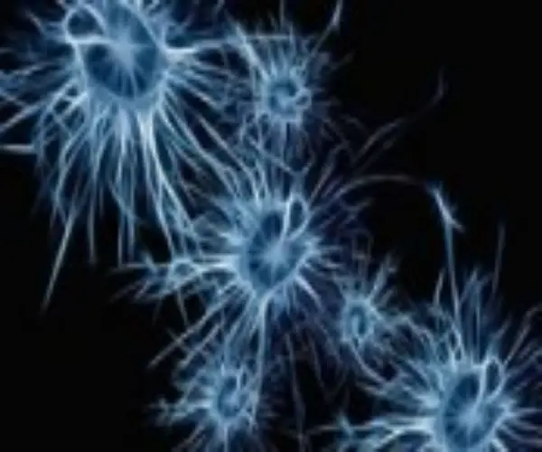 Development of BREMELANOTIDE peptides