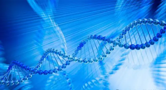 Peptides; Definition; Classification; Applications