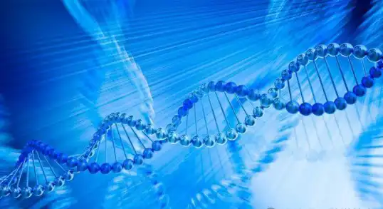 Peptide services, peptide manufacturers, peptide direct sales
