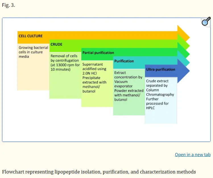 Lipopeptide