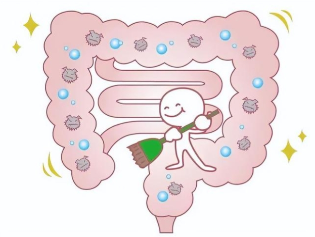 How does larazotide improve gut barrier function?