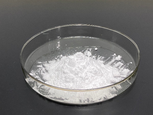 "Hydrogel" peptide proteins can help cells respond to stimuli
